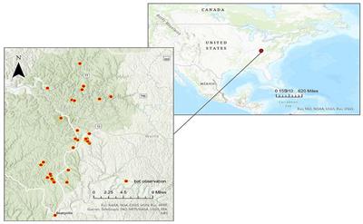 Climbers for Bat Conservation: creating a citizen science program in Red River Gorge Kentucky